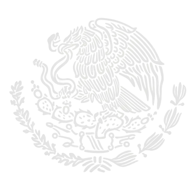 programadeafiliados.com.mx watermark